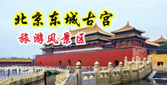 又粗又长操广操逼大片中国北京-东城古宫旅游风景区